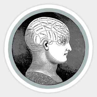 Vintage Phrenology Head Illustration Sticker